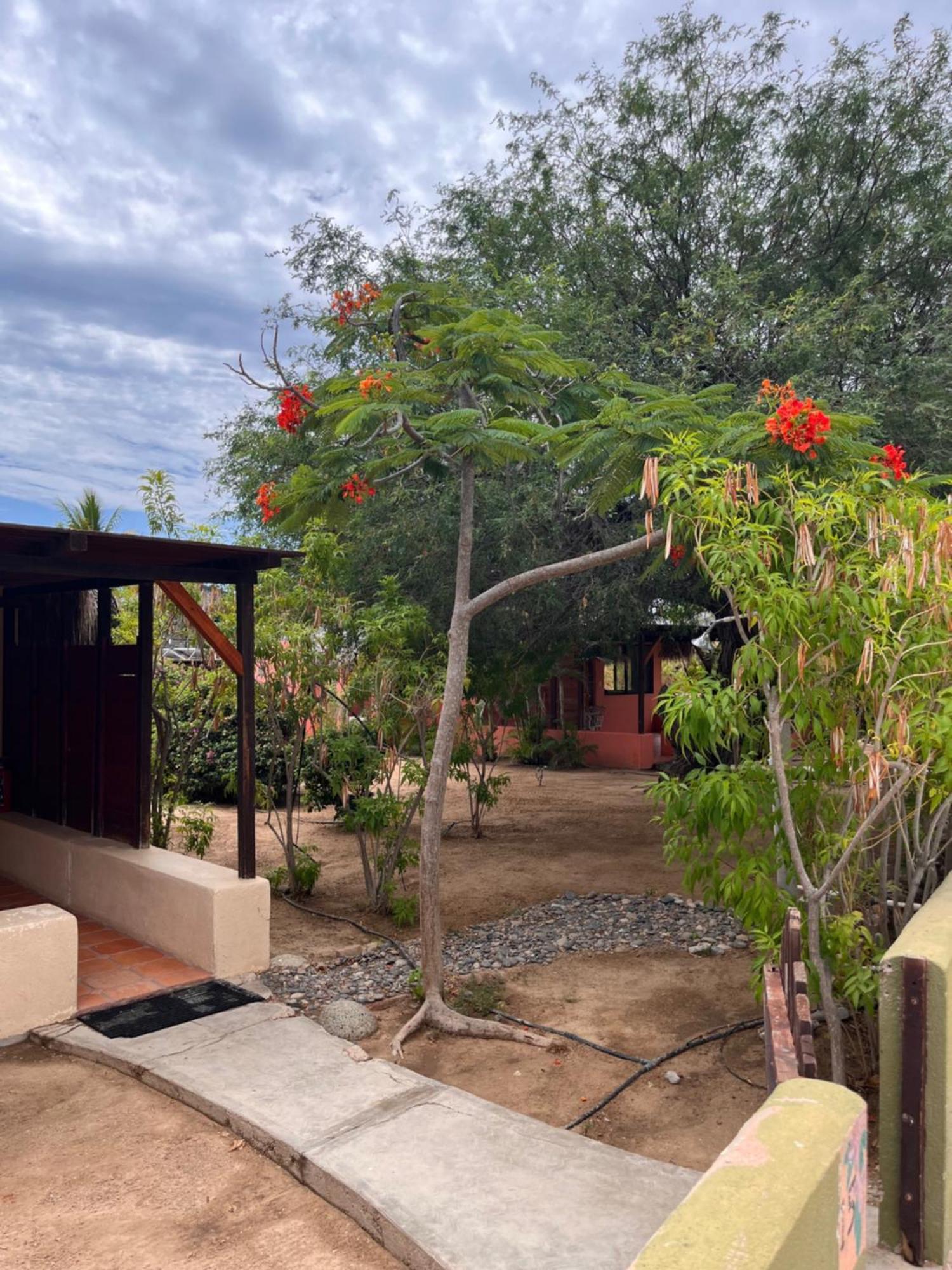 Cabo Pulmo Beach Resort Bagian luar foto